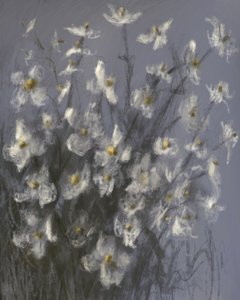 Flores brancas de sonho de James Zamora