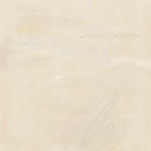 Escrita abstrata esbatida de James Zamora