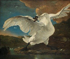 O Cisne Ameaçado O Cisne Ameaçado; Interpretado mais tarde como uma alegoria em Johan de Witt