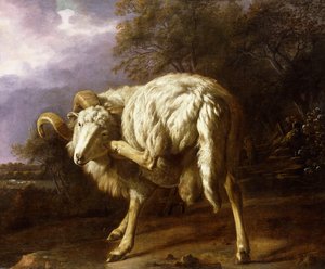 Um Carneiro em uma Paisagem Arborizada, de Jan Baptist Weenix