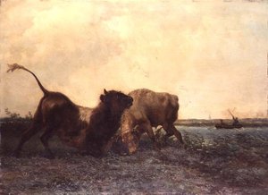 Luta de touros de Jan Bedys Tom