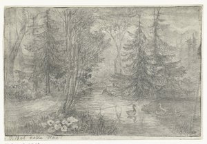 Lagoa da floresta com patos de Jan Bos Wz. (signed by artist)