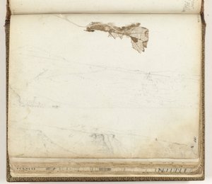 Baía de Santa Helena, folha seca de Jan Brandes