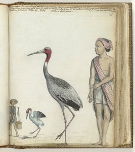 Guindaste de Jan Brandes