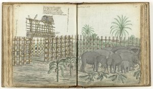 Brincadeira de elefante e miçangas de Jan Brandes