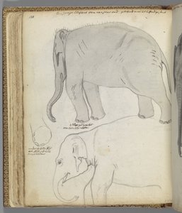 Perspectiva de três figuras de Jan Brandes