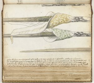 Ervas que cheiram a erva de Jan Brandes