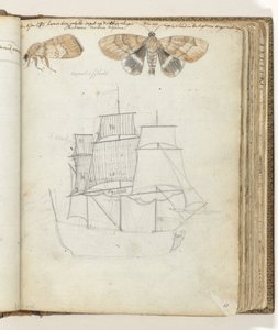 Borboleta e navio de Jan Brandes