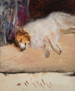 Estudo de um cão adormecido para o "Retrato do príncipe Golitsyn" de Jan Ciągliński