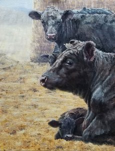 Família Black Cattle de Jan Clizer