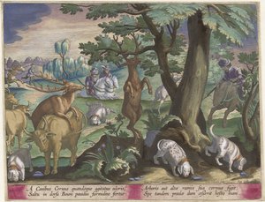 Caça ao veado com cães
Cenas de caça (título da série)
Venationes Ferarum, auium, piscium pvgnae Bestiariorum (título da série) de Jan Collaert