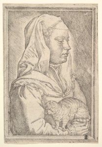 Menina com um gato, 1546. de Jan Cornelisz Vermeyen