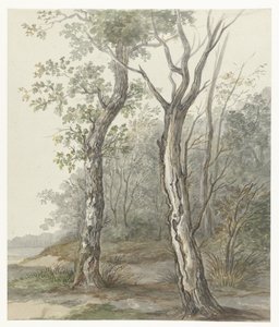 paisagem da floresta de Jan Dasveldt