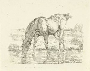 Cavalo para beber
