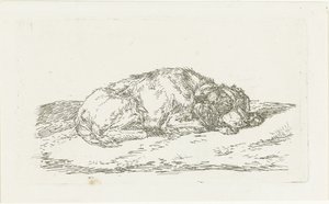 Cão dormindo com a cabeça apoiada nas patas dianteiras de Jan Dasveldt