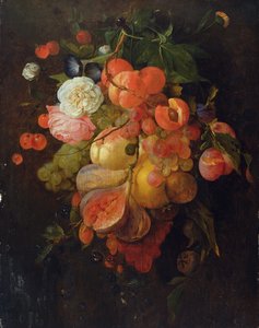 Frutas e Flores
