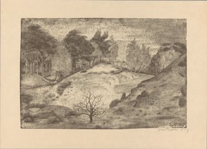 Heath perto de Laren de Jan Fekkes (signed by artist)