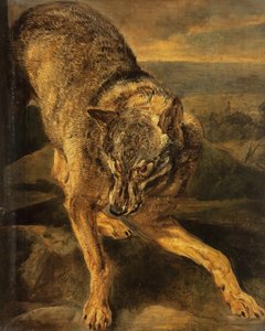 Um lobo de Jan Fyt