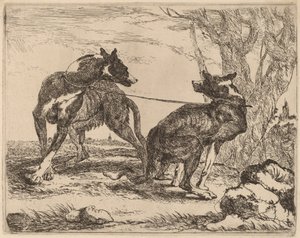 Dois galgos, amarrados e um de frente para o outro de Jan Fyt
