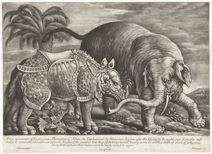 Olifant em Neushoorn Uma verdadeira representação das duas grandes Obras-Primas da Natureza, o Elefante e o Rinoceronte (título no objeto) de Jan Griffier (I)