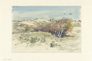 Paisagem dunar entre Bloemendaal e IJmuiden
