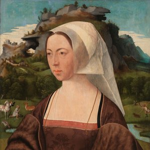 Retrato de uma Mulher Desconhecida
Retrato de uma mulher de Jan Jansz Mostaert
