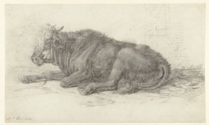 Vaca reclinada de Jan Joost van Cossiau