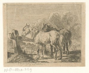 Pasto com dois cavalos