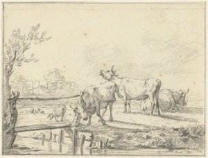 Vacas em um prado