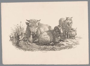 Vaca, carneiro e duas ovelhas Beesten Studien por J. Kobell após Paul Potter Nr. 1 (título da série) de Jan Kobell (III)