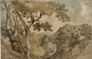 Paisagem montanhosa com um grupo de árvores de Jan Lievens