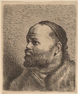 Busto de um homem com lábios grossos de Jan Lievens