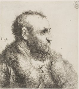 Busto de um velho de Jan Lievens