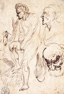 Estudos posteriores ao modelo de Jan Lievens