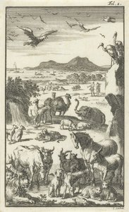 A criatura de Jan Luyken