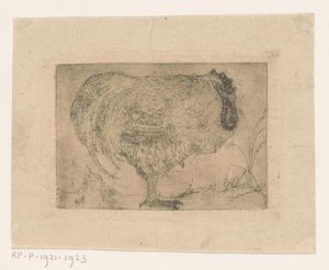Galo amordaçado de Jan Mankes