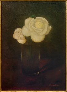 Camélias no copo