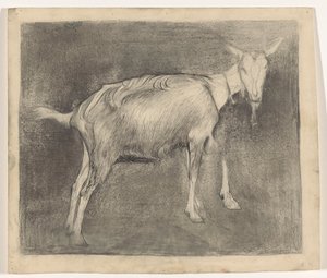 cabra em pé de Jan Mankes