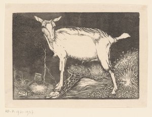 cabra branca de Jan Mankes