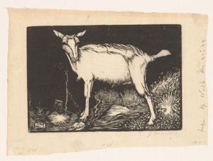cabra branca de Jan Mankes