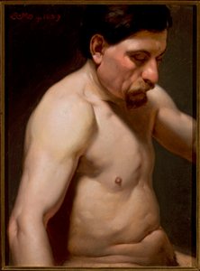 Seminu masculino de Jan Matejko