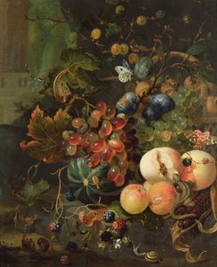 Ainda vida de frutas e insetos