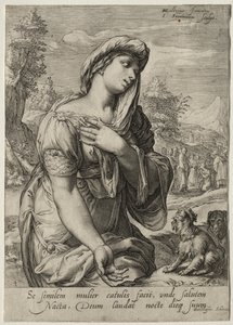 Heroínas do Novo Testamento: Os cananeus