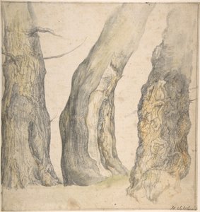 Estudo de três velhas árvores retorcidas, 1660.