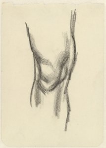 Estudo de um joelho de Jan Toorop