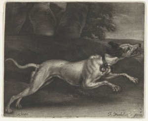 Cão de corrida de Jan Verkolje (I)