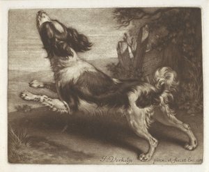 Cachorro correndo, possivelmente um spaniel