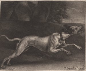 Um cão de corrida