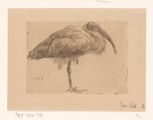 Ibis (título original no objeto)