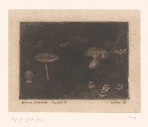 Cogumelos